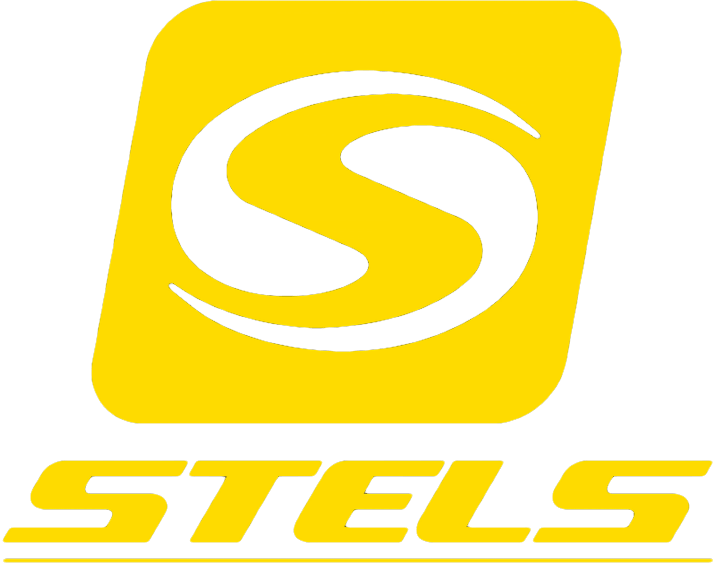 stels_logo.png